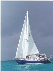 nautibear.jpg (7641 Byte)